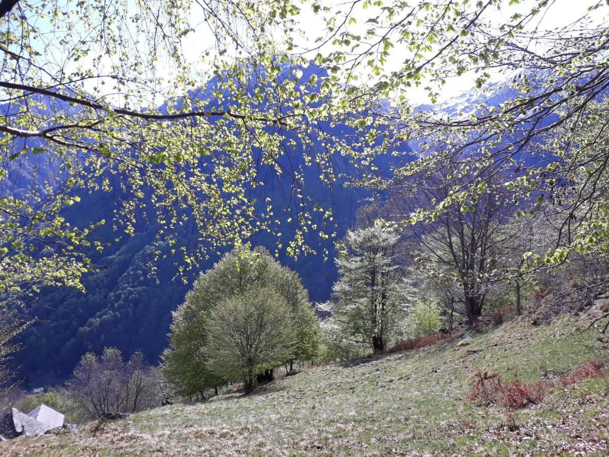 Casa All'Alpe Gaggetto B & B Anzino Eksteriør billede