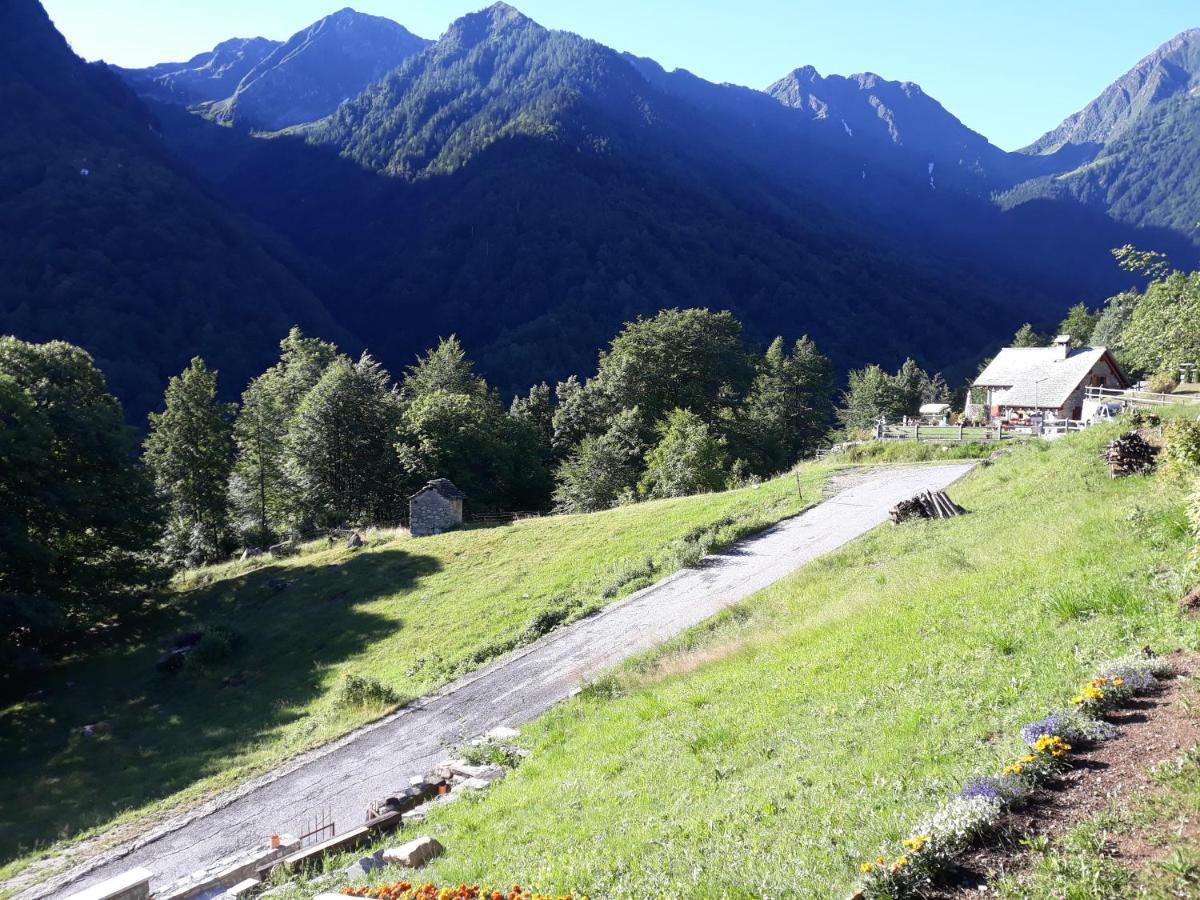 Casa All'Alpe Gaggetto B & B Anzino Eksteriør billede