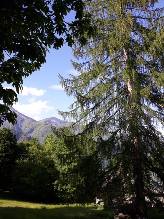 Casa All'Alpe Gaggetto B & B Anzino Eksteriør billede