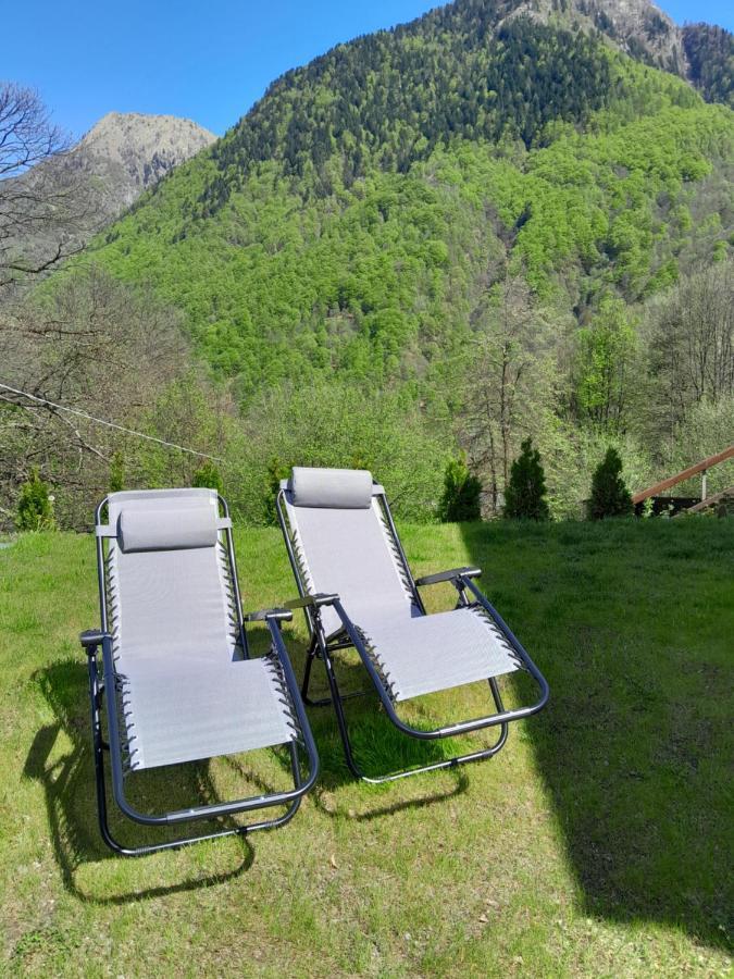 Casa All'Alpe Gaggetto B & B Anzino Eksteriør billede