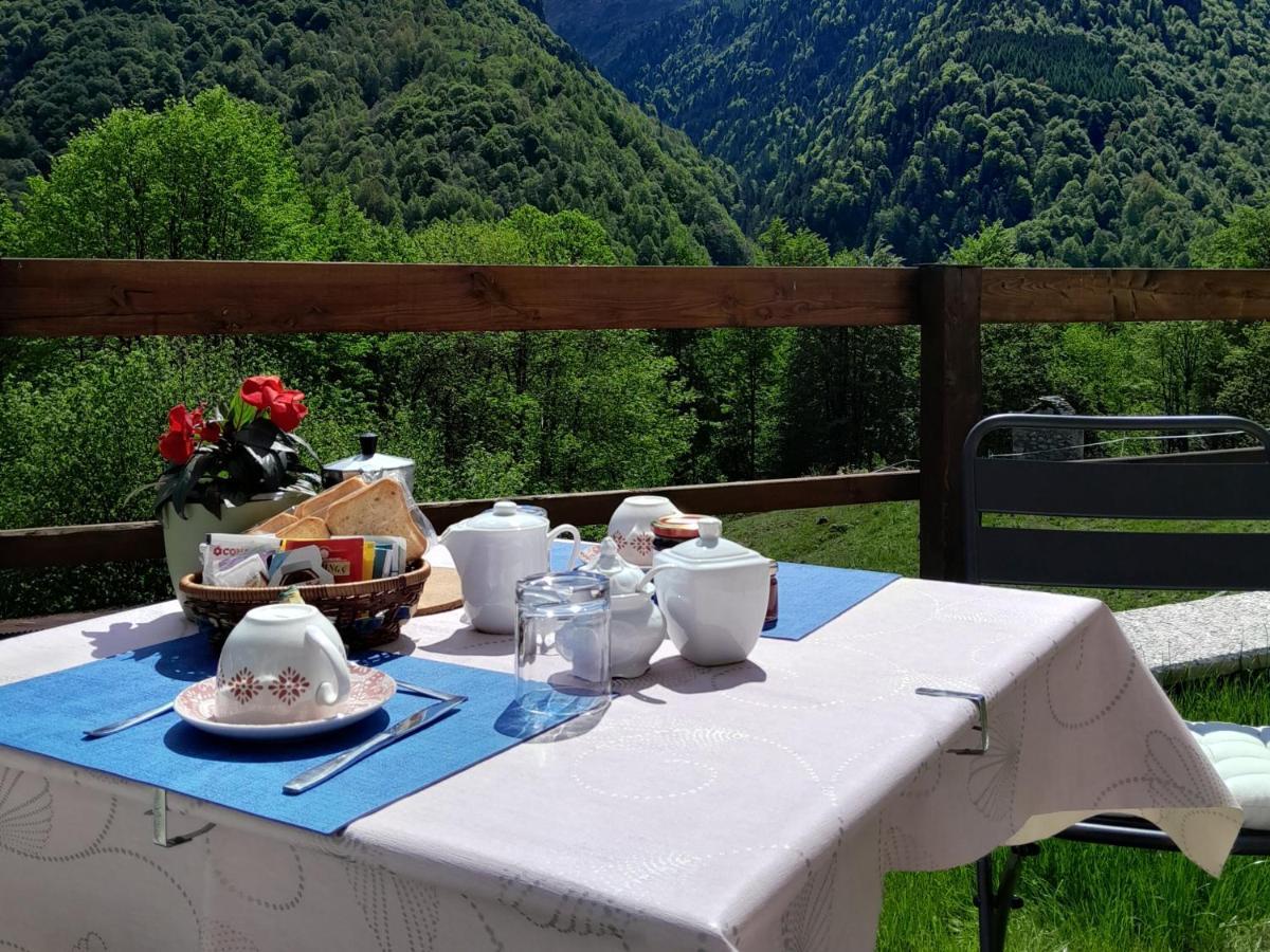 Casa All'Alpe Gaggetto B & B Anzino Eksteriør billede