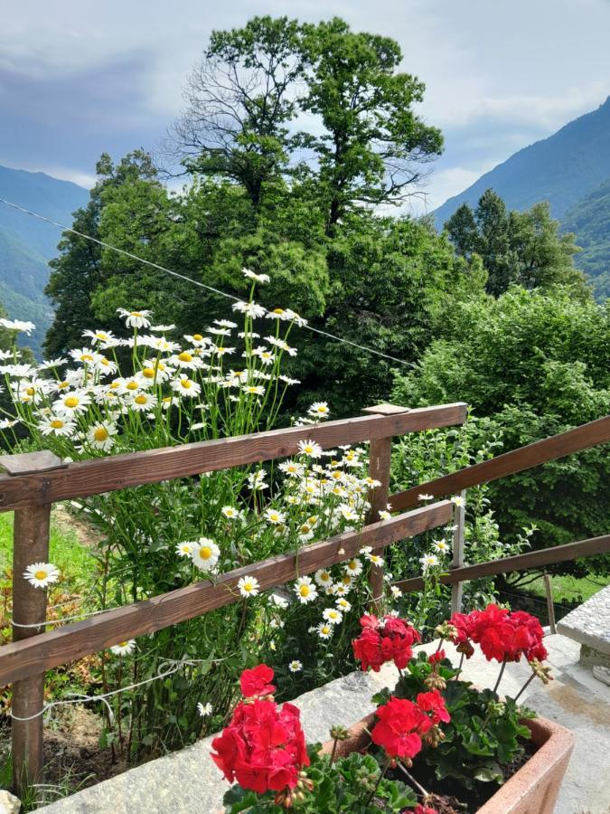Casa All'Alpe Gaggetto B & B Anzino Eksteriør billede