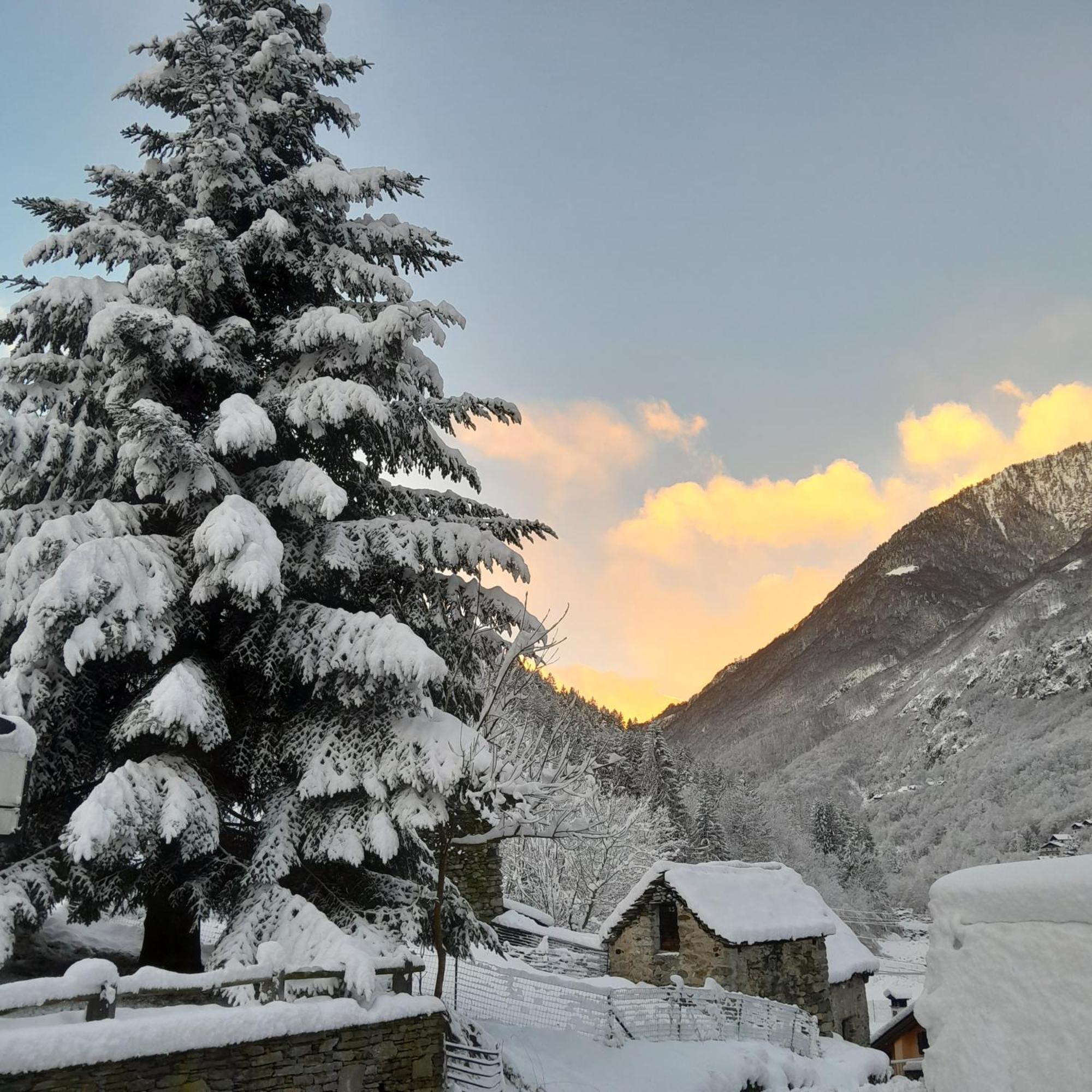 Casa All'Alpe Gaggetto B & B Anzino Eksteriør billede